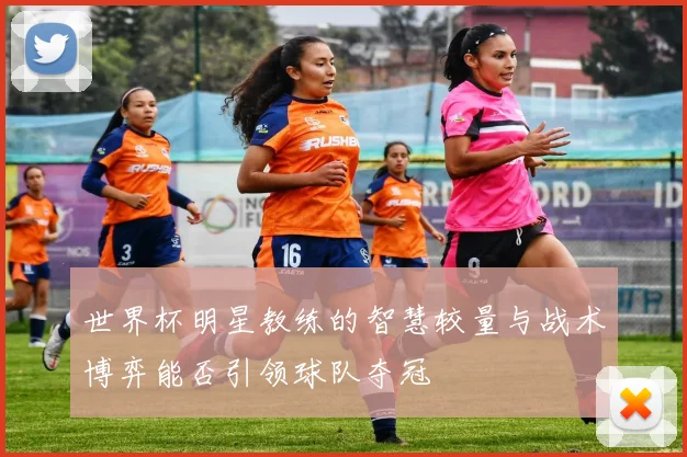 世界杯明星教练的智慧较量与战术博弈能否引领球队夺冠